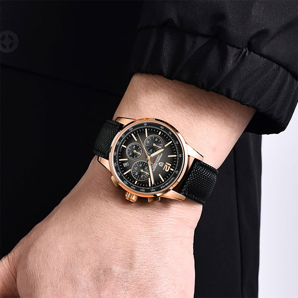 PAGANI DESIGN New Mens Watch 4 - Luxury Watch Display 评论和价格